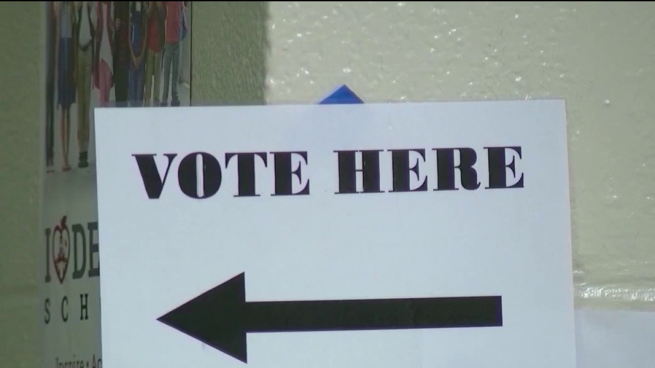 Big turnout during early voting in Georgia 