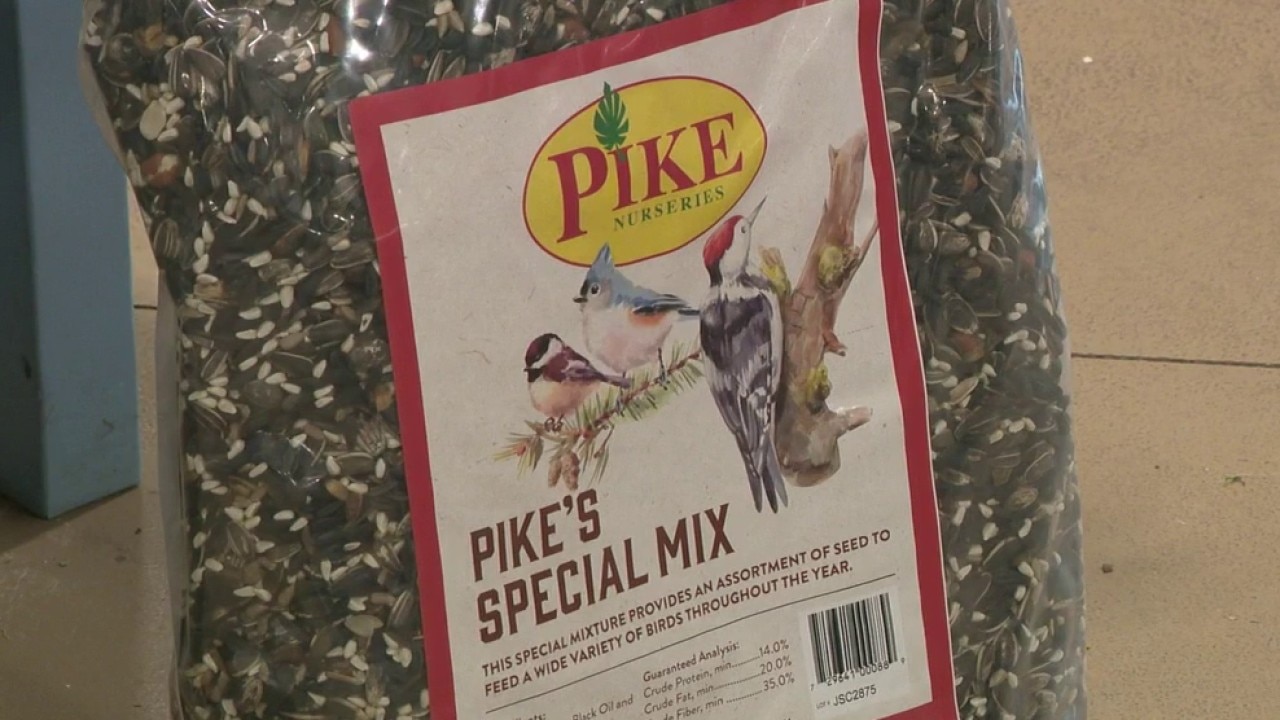 Pike Nurseries offers tips to attract migrating birds
