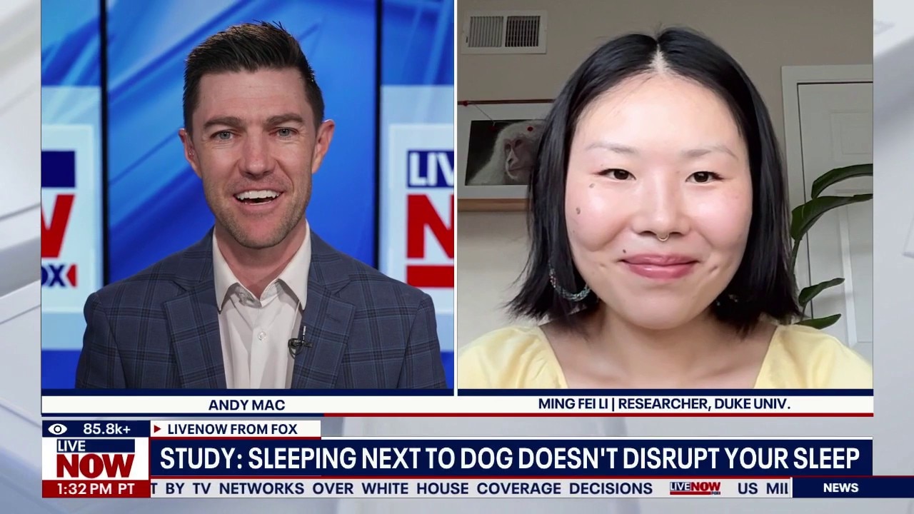 Sleeping next to your dog: Does it impact your sleep?