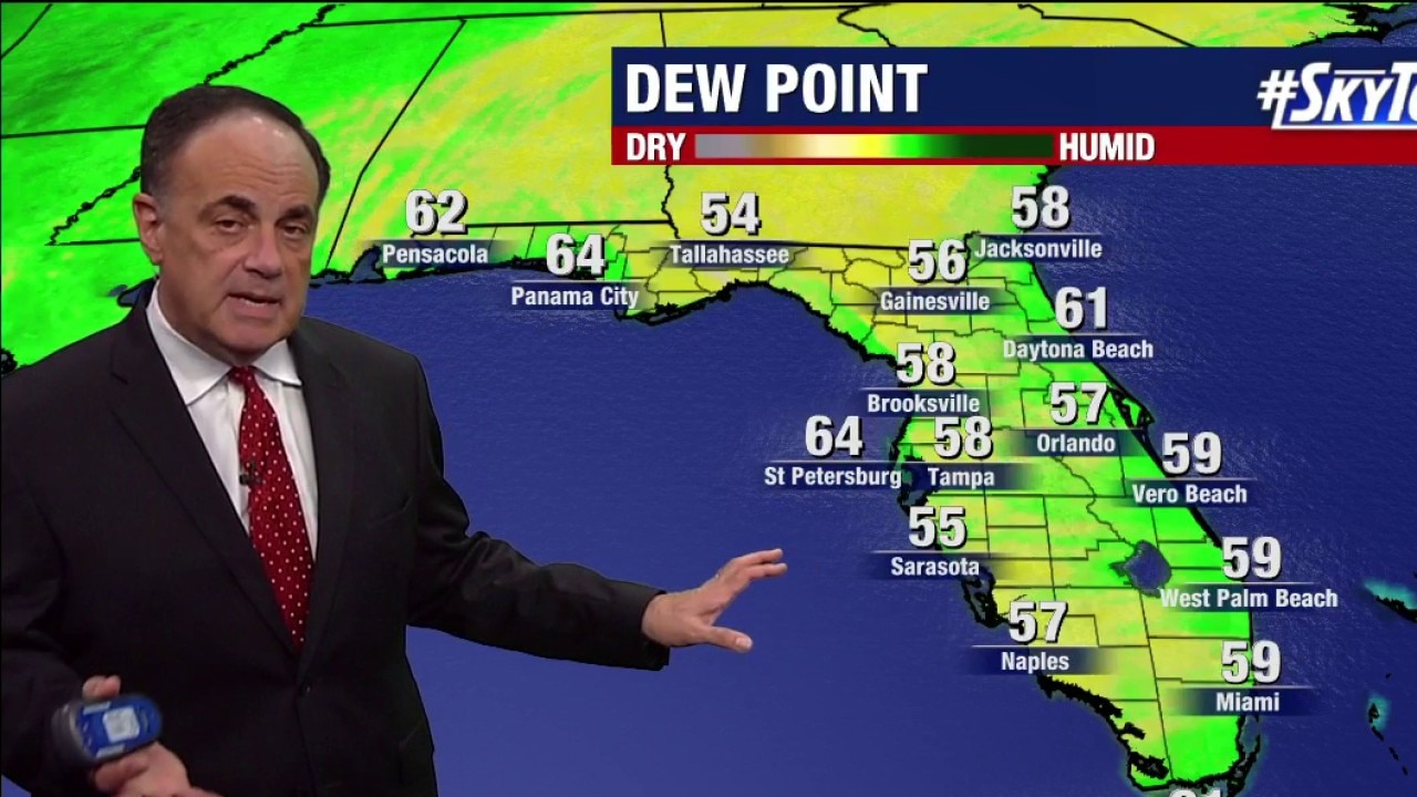 Tampa weather | Monday evening forecast