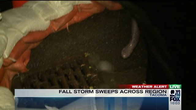Tacoma prepares for fall storm