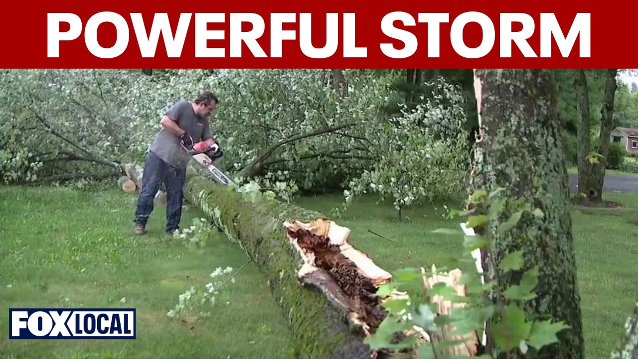 Thursday storms bring down trees, knock down power lines in South Jersey
