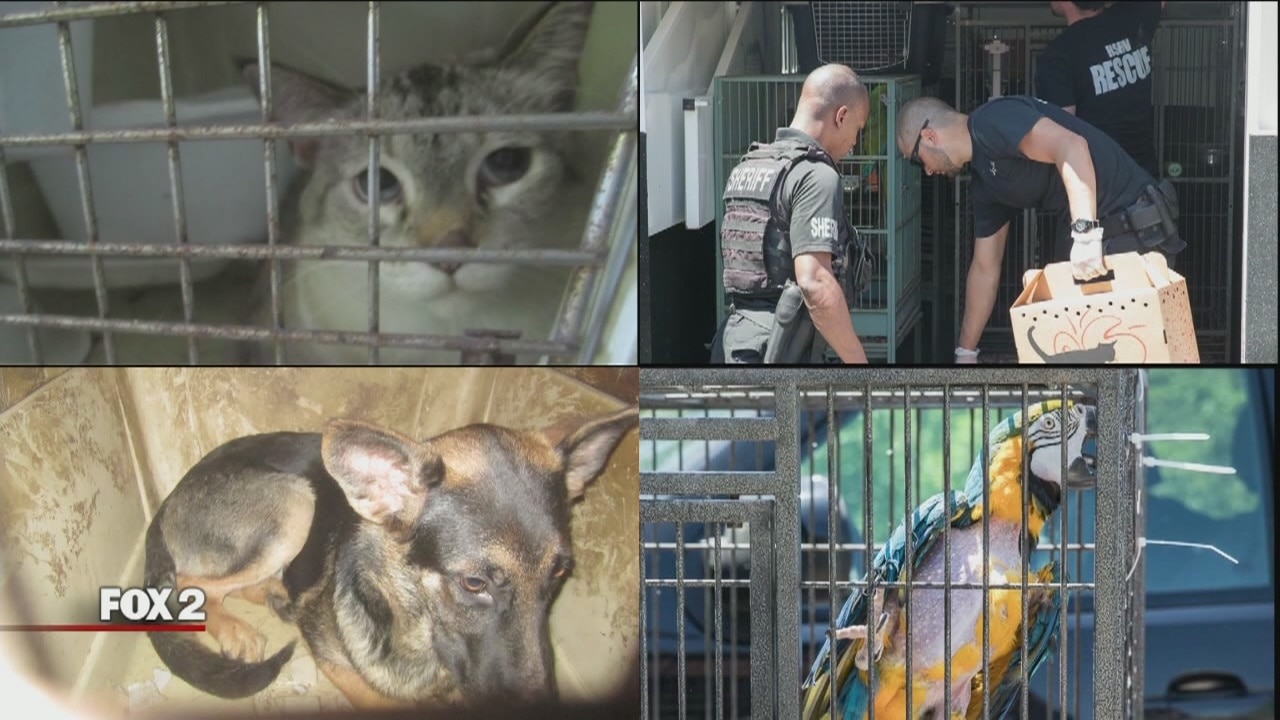 House of horrors: 71 animals taken from home of Augusta Twp. supervisor