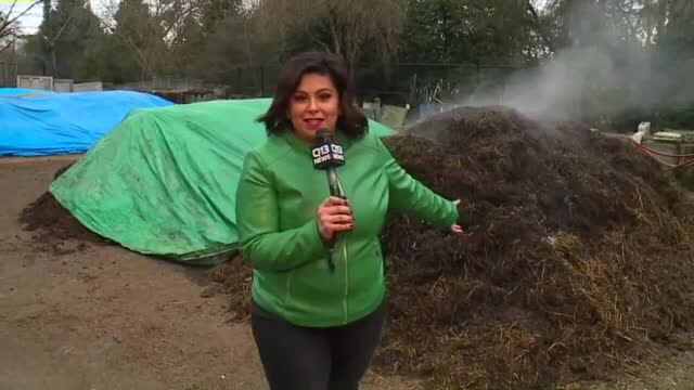 Fecal Fest at the Woodland Park Zoo