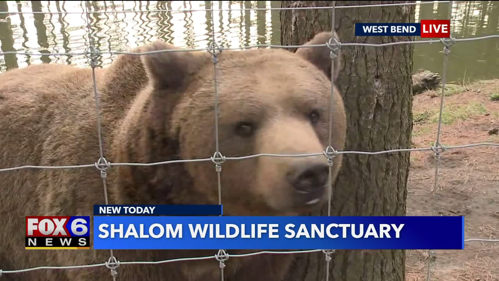 Shalom Wildlife Sanctuary