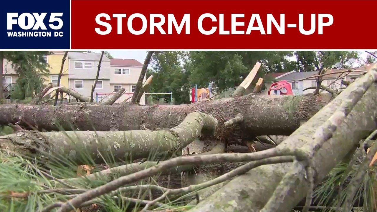 Storm clean-up continued in the DMV Friday