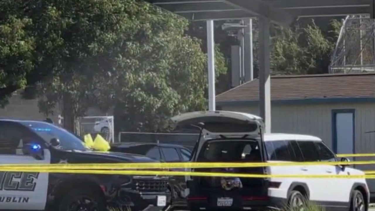 Dublin police arrest married couple for allegedly shooting, killing son-in-law at park