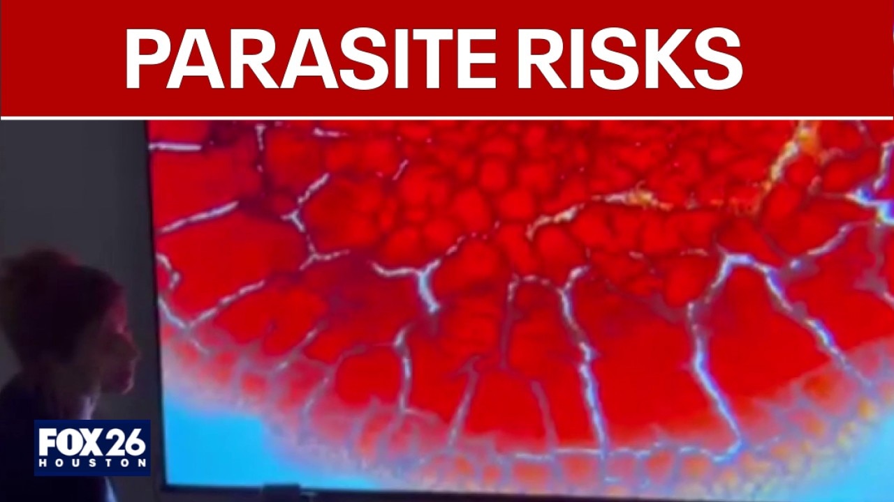 What to know about parasites: Risks, symptoms & testing
