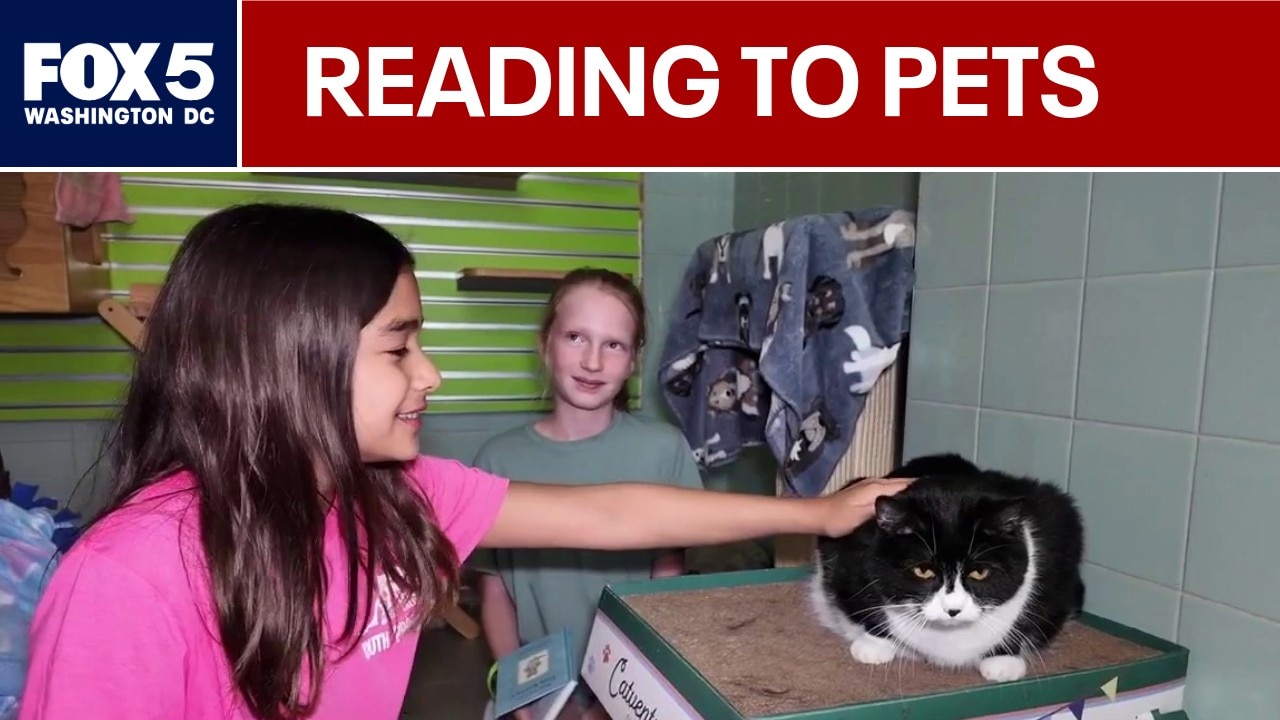 Arlington kids read to pets in an animal shelter