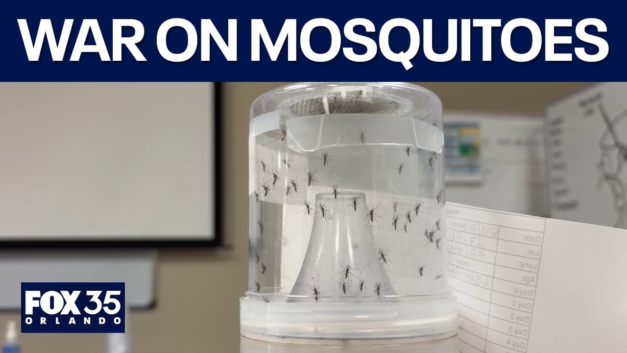 How Florida uses drones, radiation & GMOs on mosquitoes