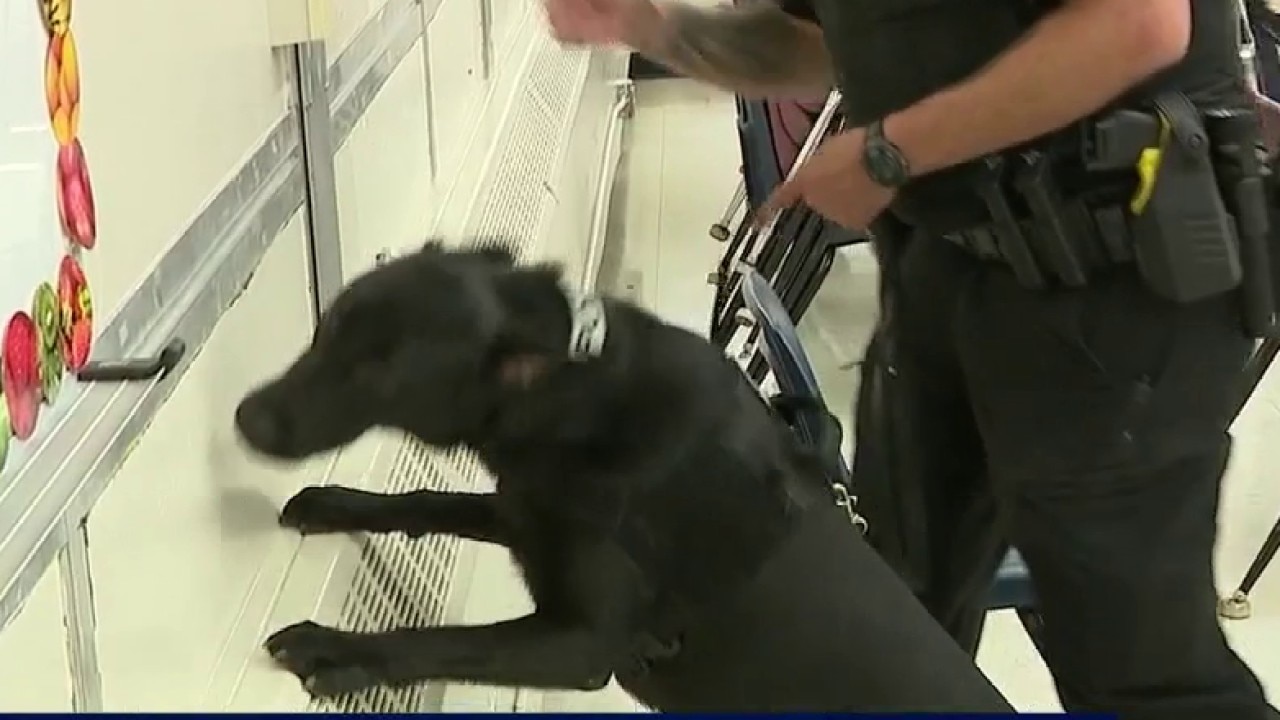 School bus safety tips, K9 program at Cobb schools