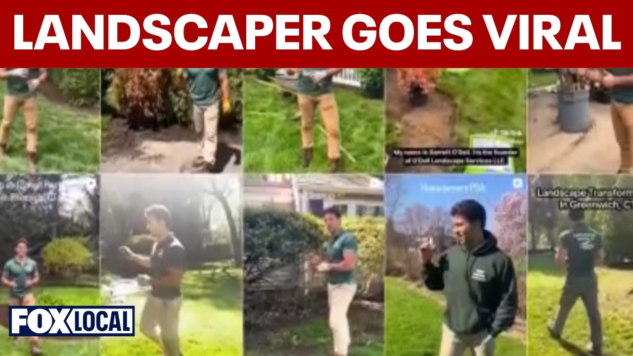 Connecticut landscaper goes viral as social media fame blooms