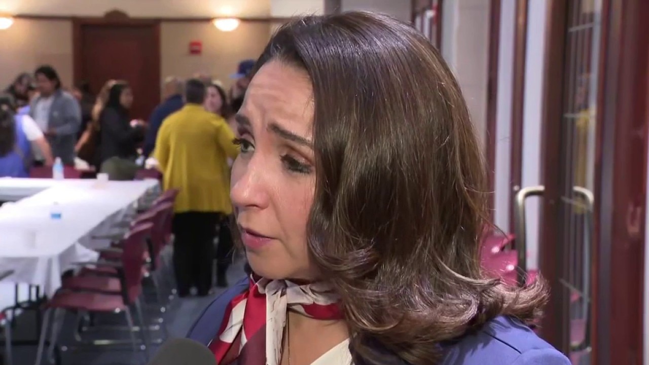 Rep. Delia Ramirez on her effort to reign in ICE, DHS