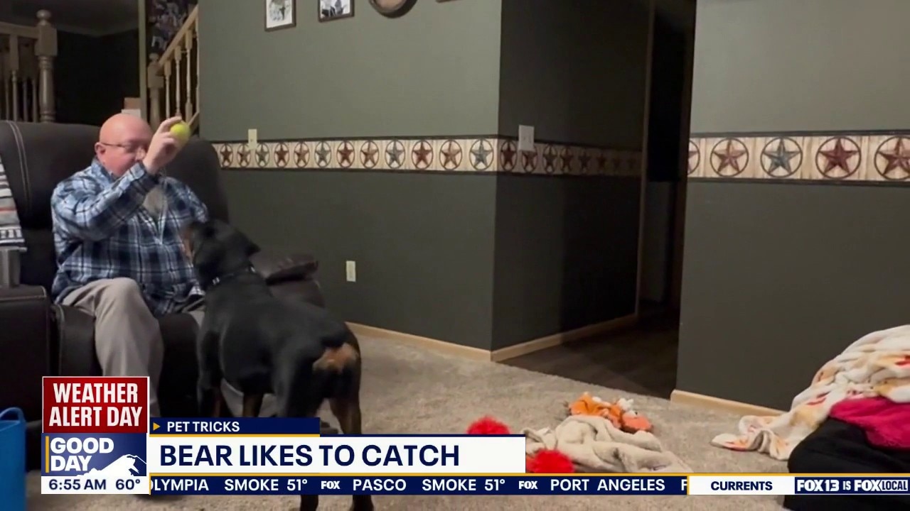 Pet Tricks for Thursday, Augus 6