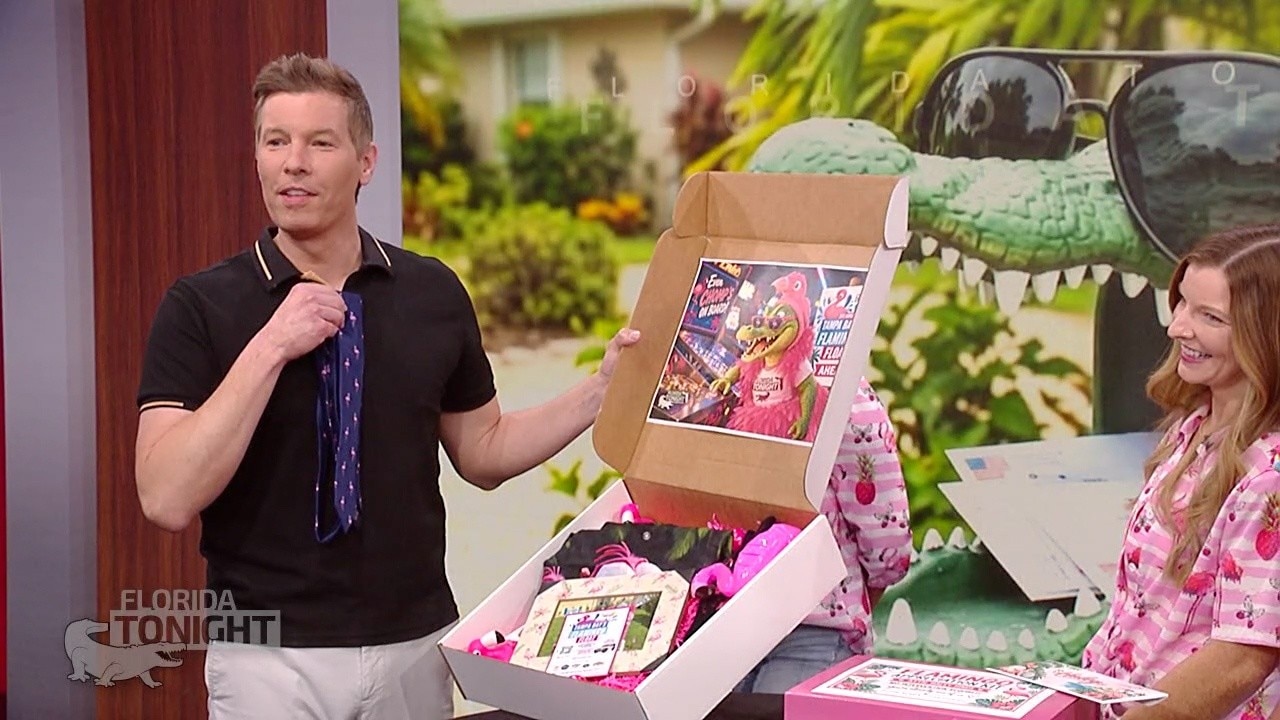 Chris Cato's flamingo intervention on Florida Tonight