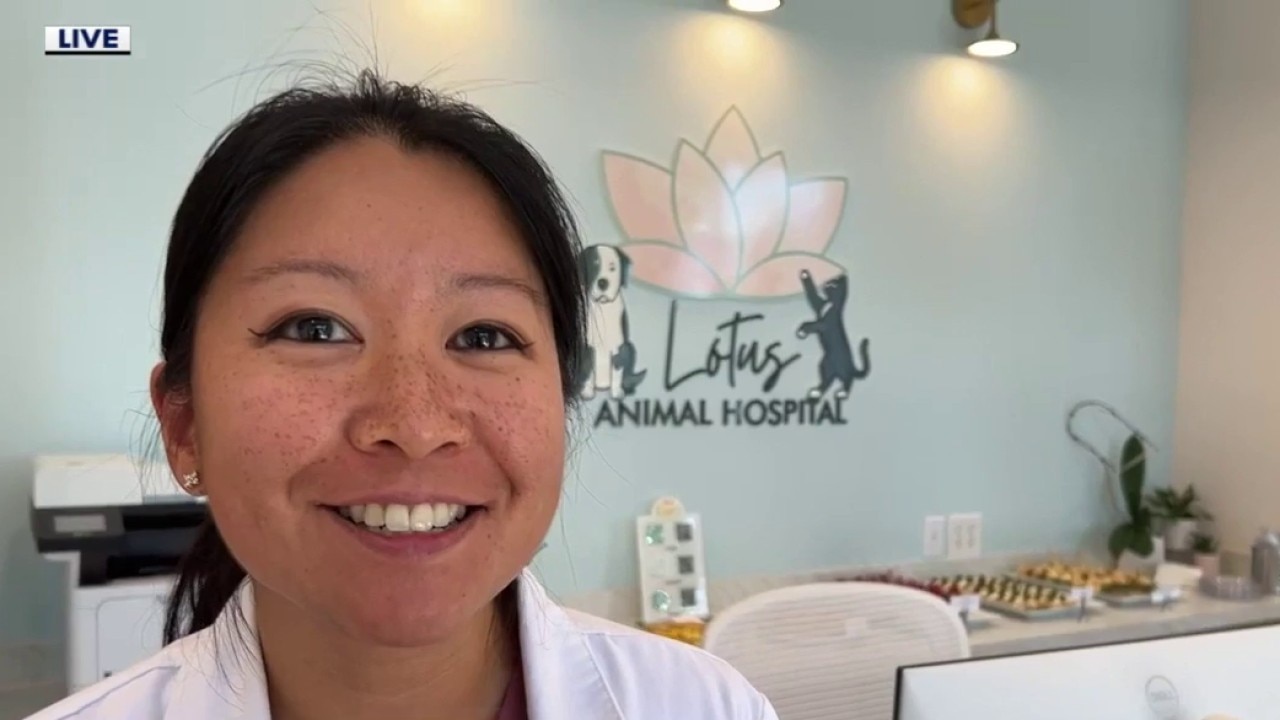 Lotus Animal Hospital: Bringing back 'the family vet'