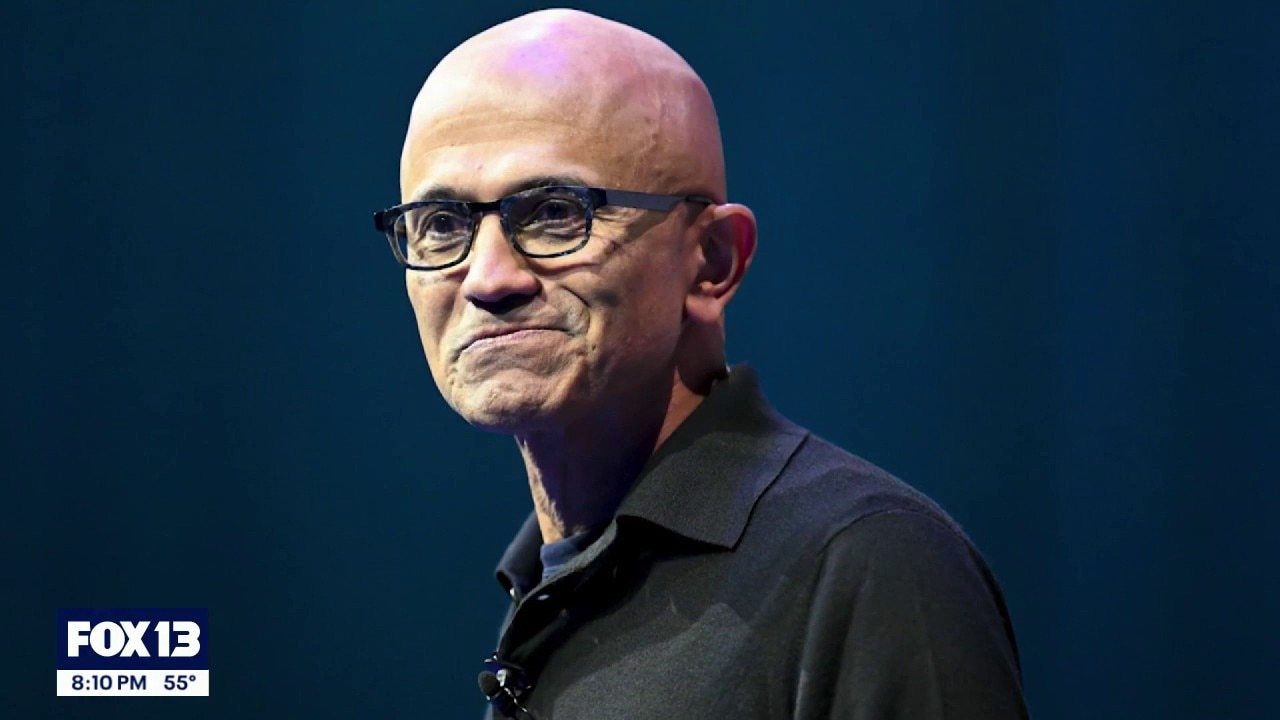 Microsoft CEO backs AI 'kill switch'