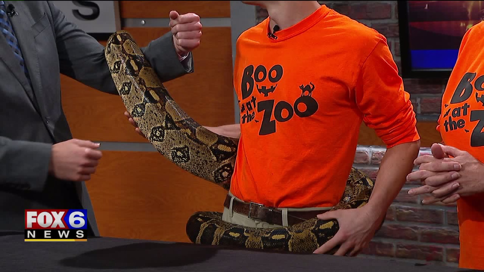 A snake on set!