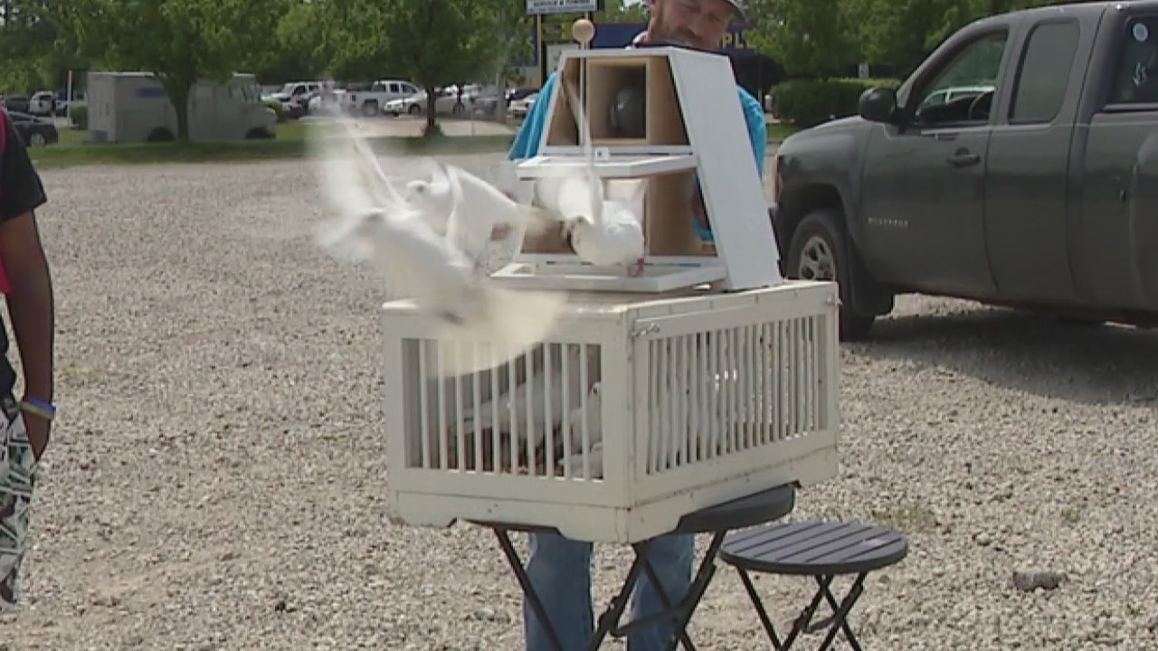 Clinton Township man trains his doves to be released as sign of peace