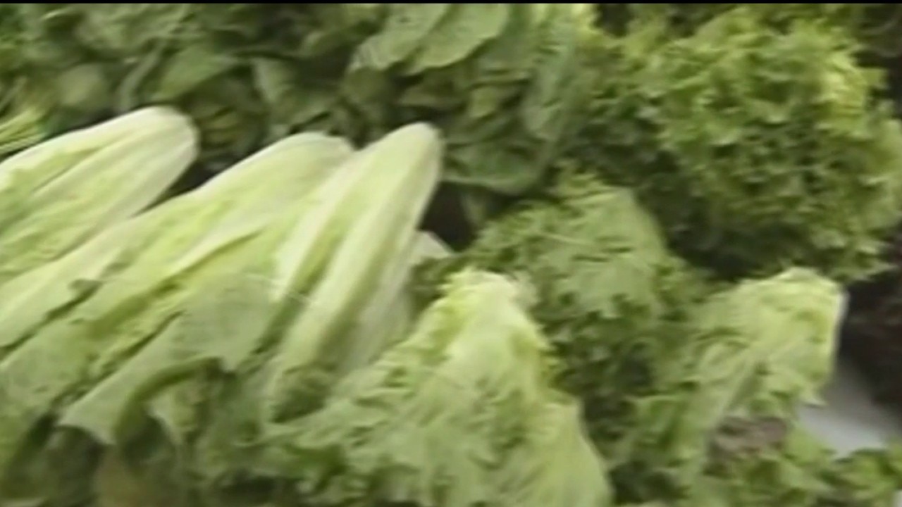 Two deaths linked to cyclosporiasis outbreak