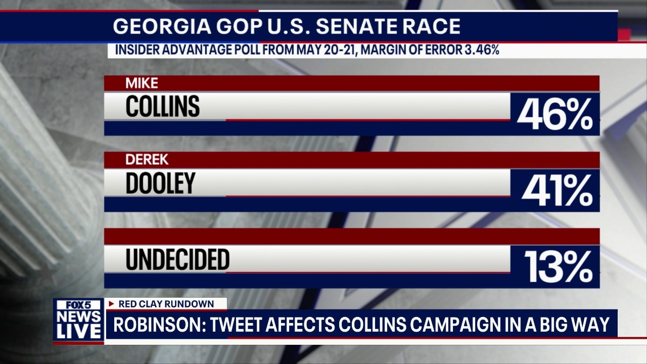 Collins fires chief aide over disgusting campaign message