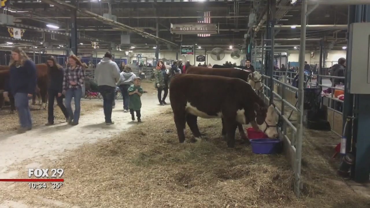 Hank's Take: Pennsylvania Farm Show