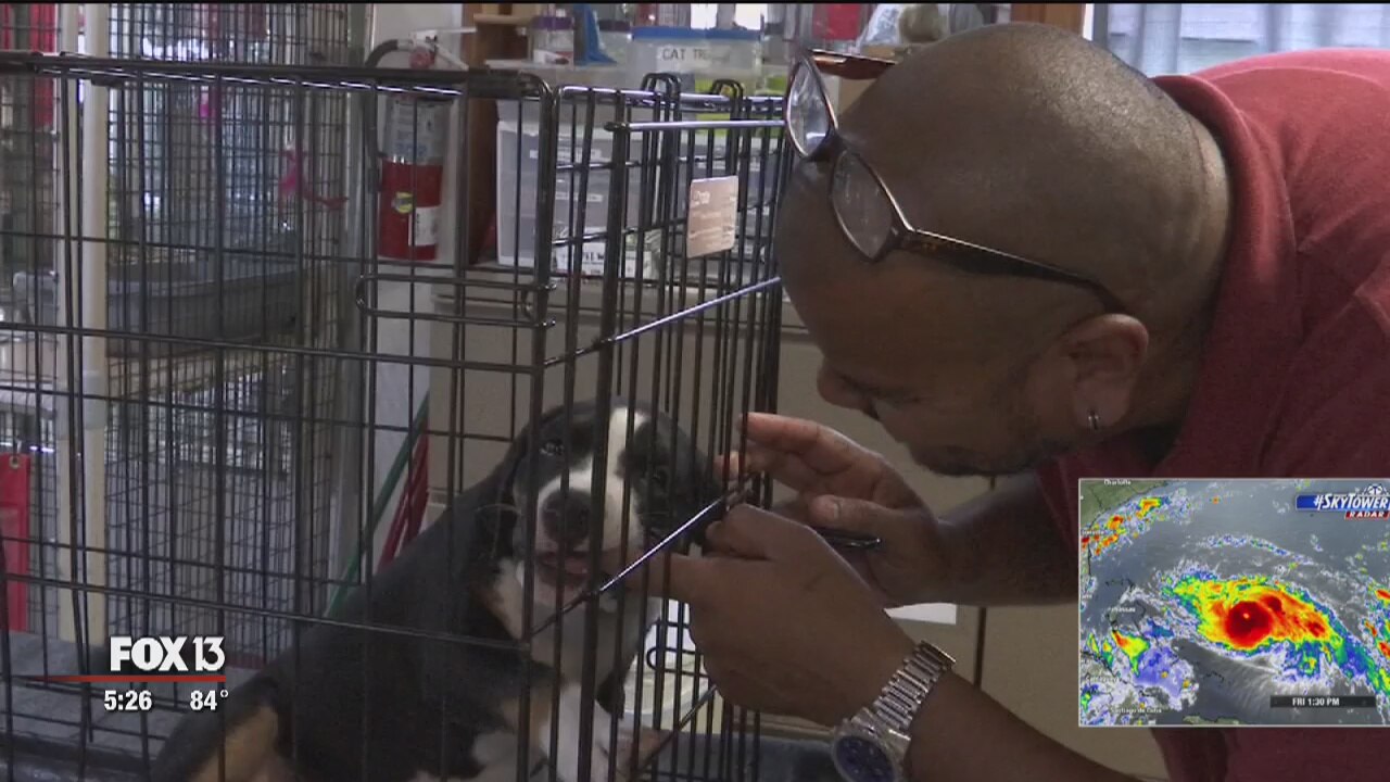 Suncoast rescue needs foster homes
