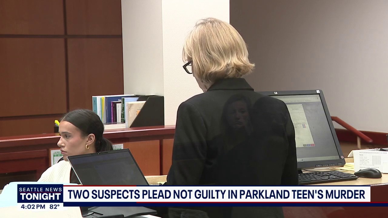 Two suspects in court after teenage boy killed
