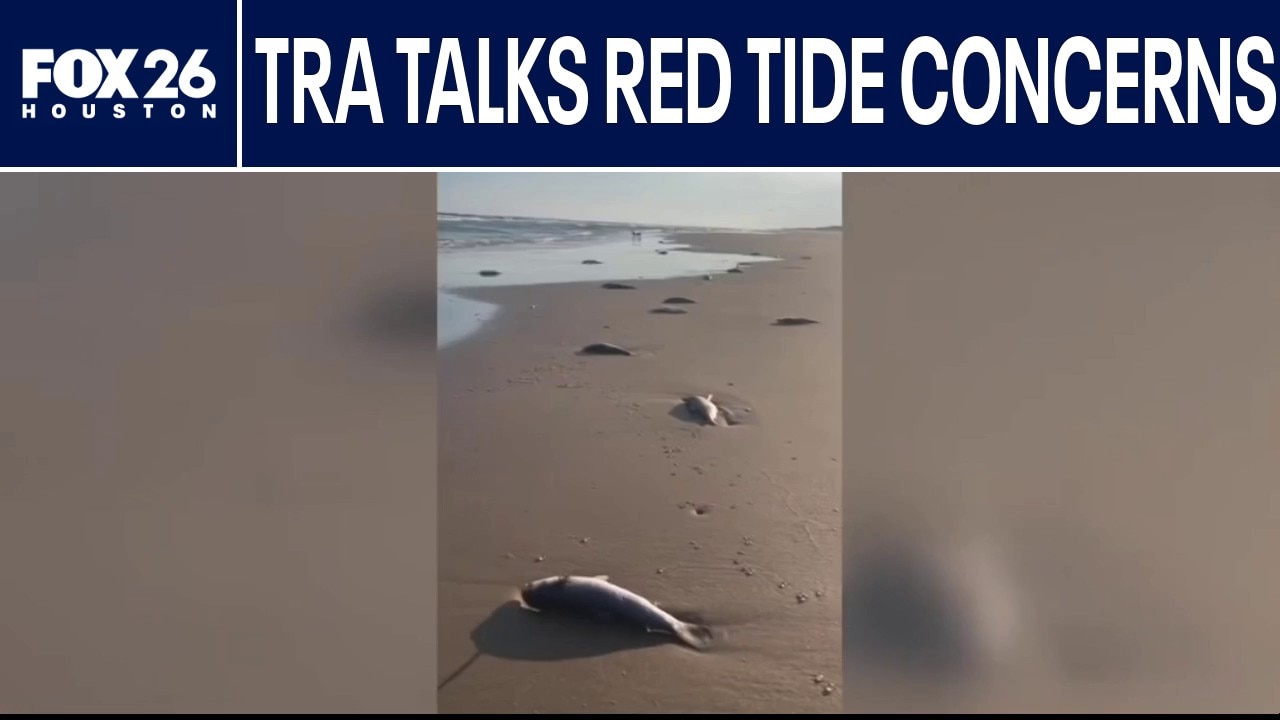Texas Restaurant Association speaks on Red Tide concerns