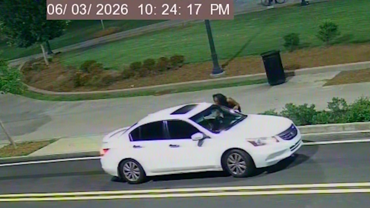 Gunman opens fire on mother and child over stolen puppy