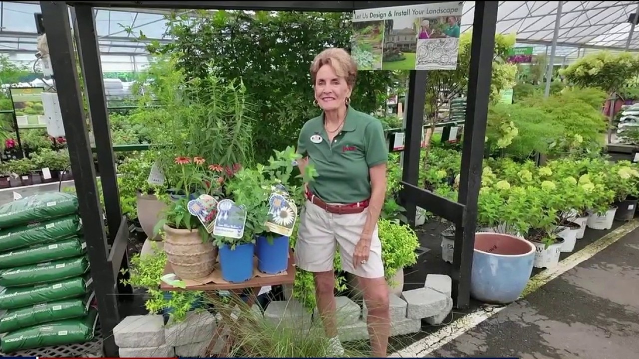 Pike Nurseries gives tips on native planting in the Southeast