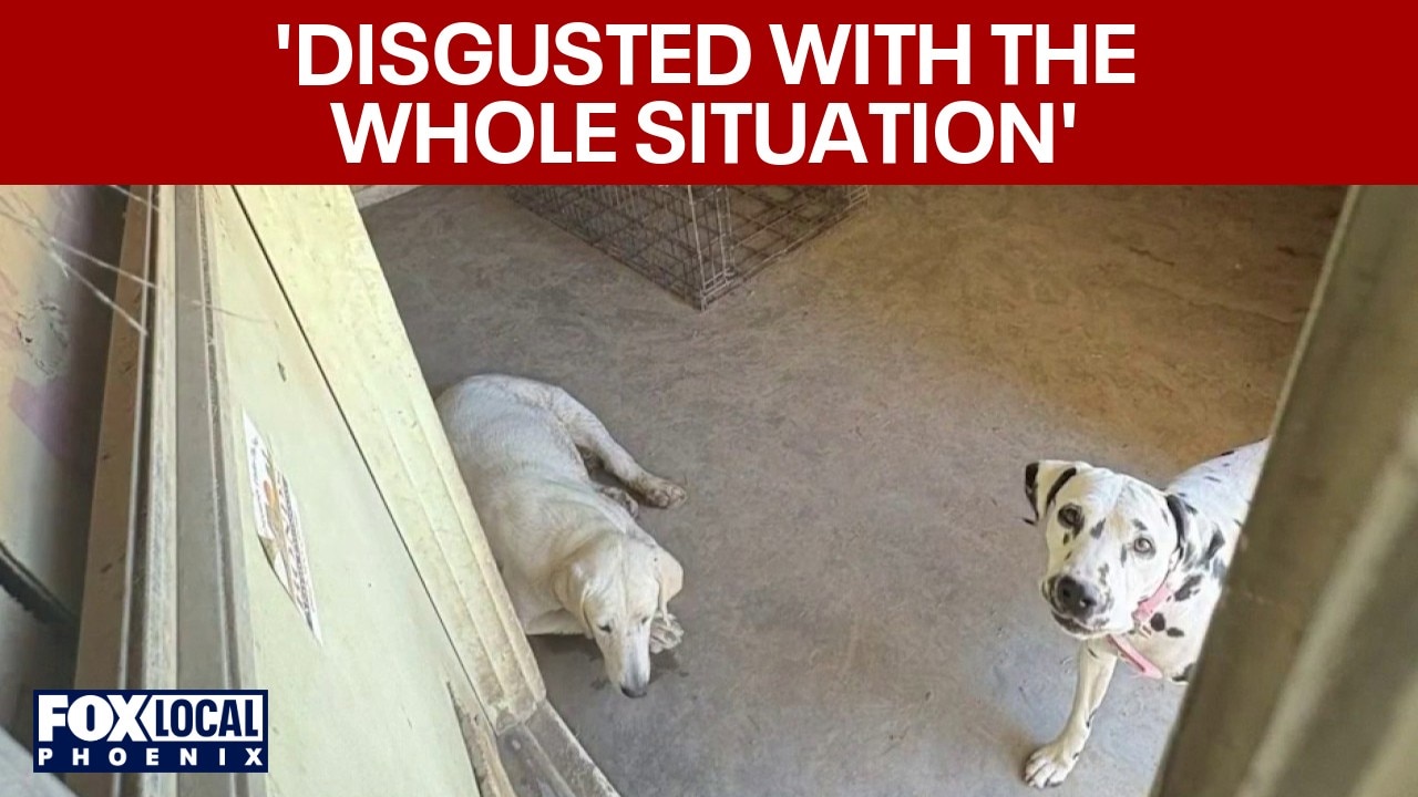 Police condemn home, save dozens of dogs and rabbits