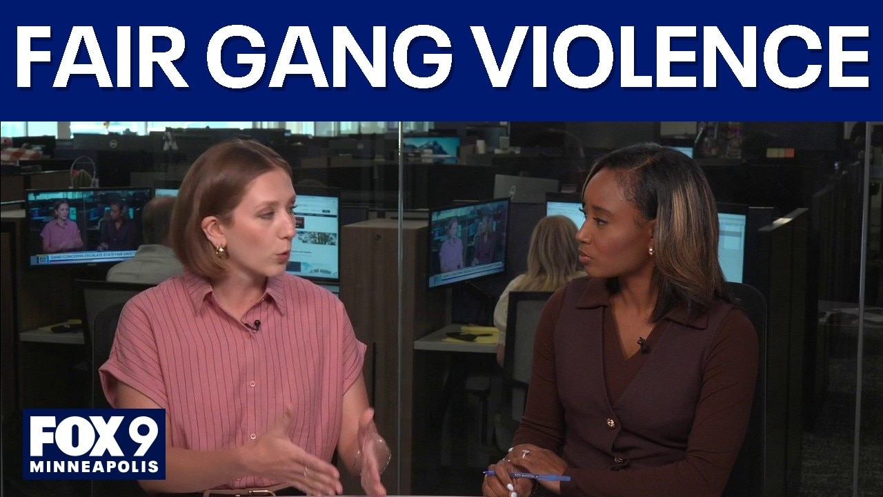 Gang violence concerns at Minnesota State Fair