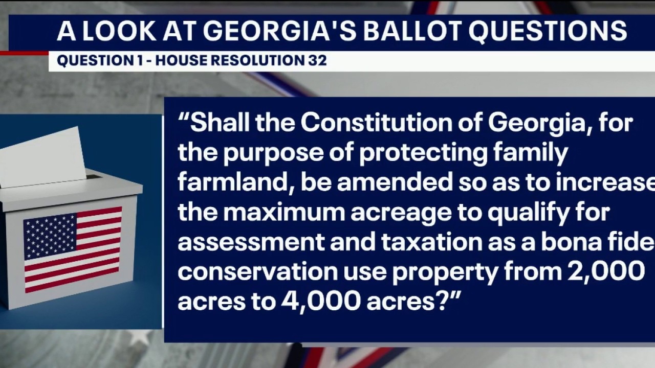 Breaking down Georgia's ballot questions