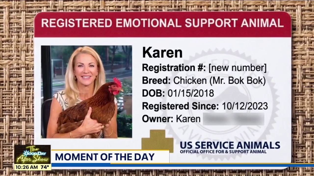 MOMENT OF THE DAY: Emotional Support Chickens