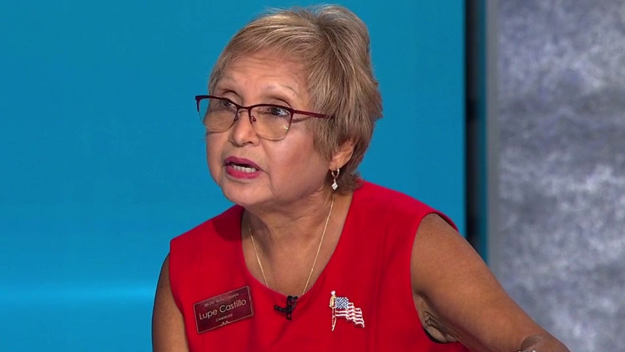 Immigration policy takes spotlight ahead of 2026 midterm elections: Illinois candidates sound off