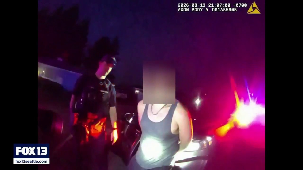 Pursuit suspect tried to hide in backyard pool