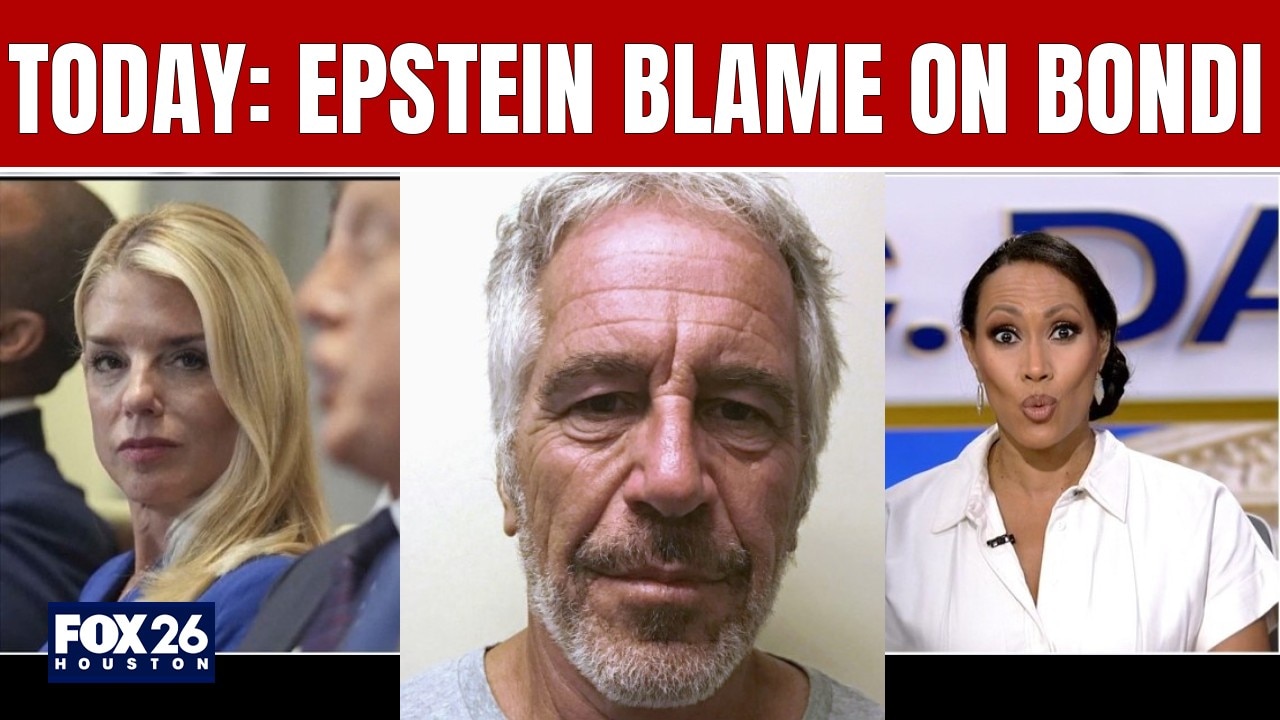 EPSTEIN BLAME ON BONDI
