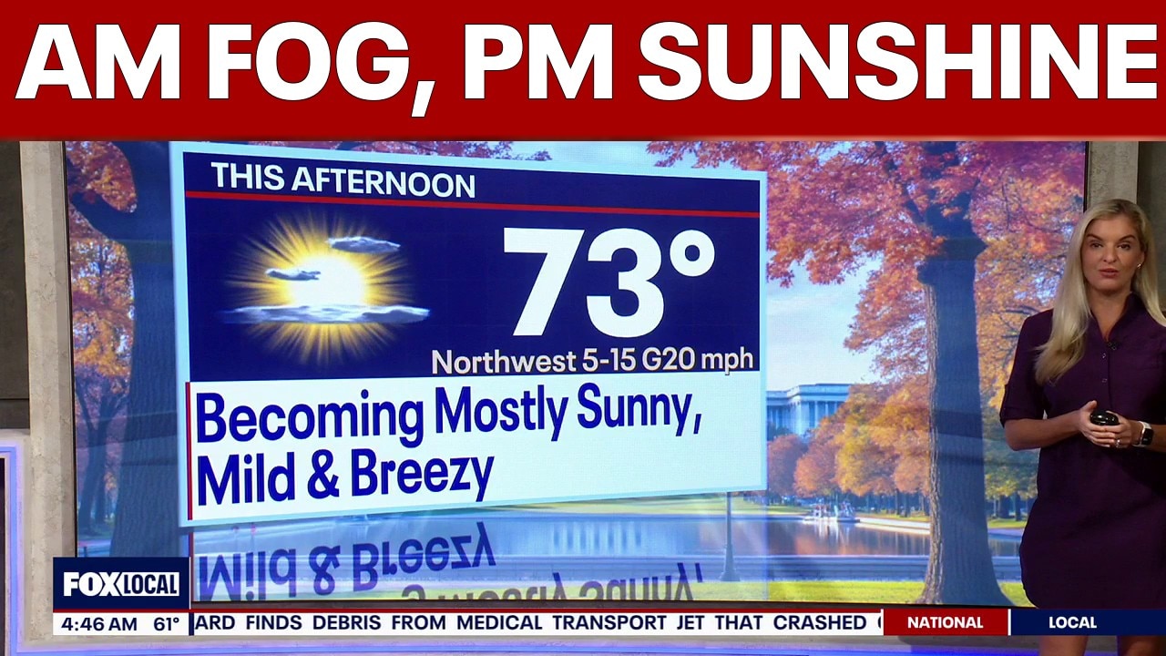 DC weather: Morning fog gives way to sunny, mild afternoon in the 70s