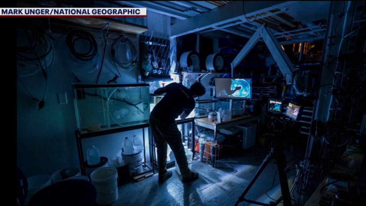 National Geographic Science Photographer teaches Bay Area kids
