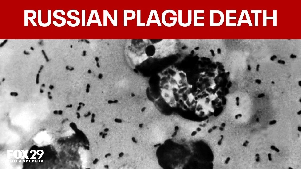 Trump, Putin to speak about Russian plague death