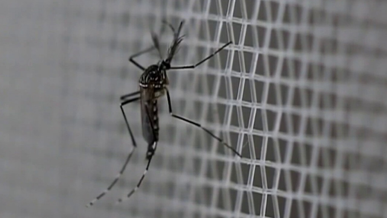 Controlling the mosquito population