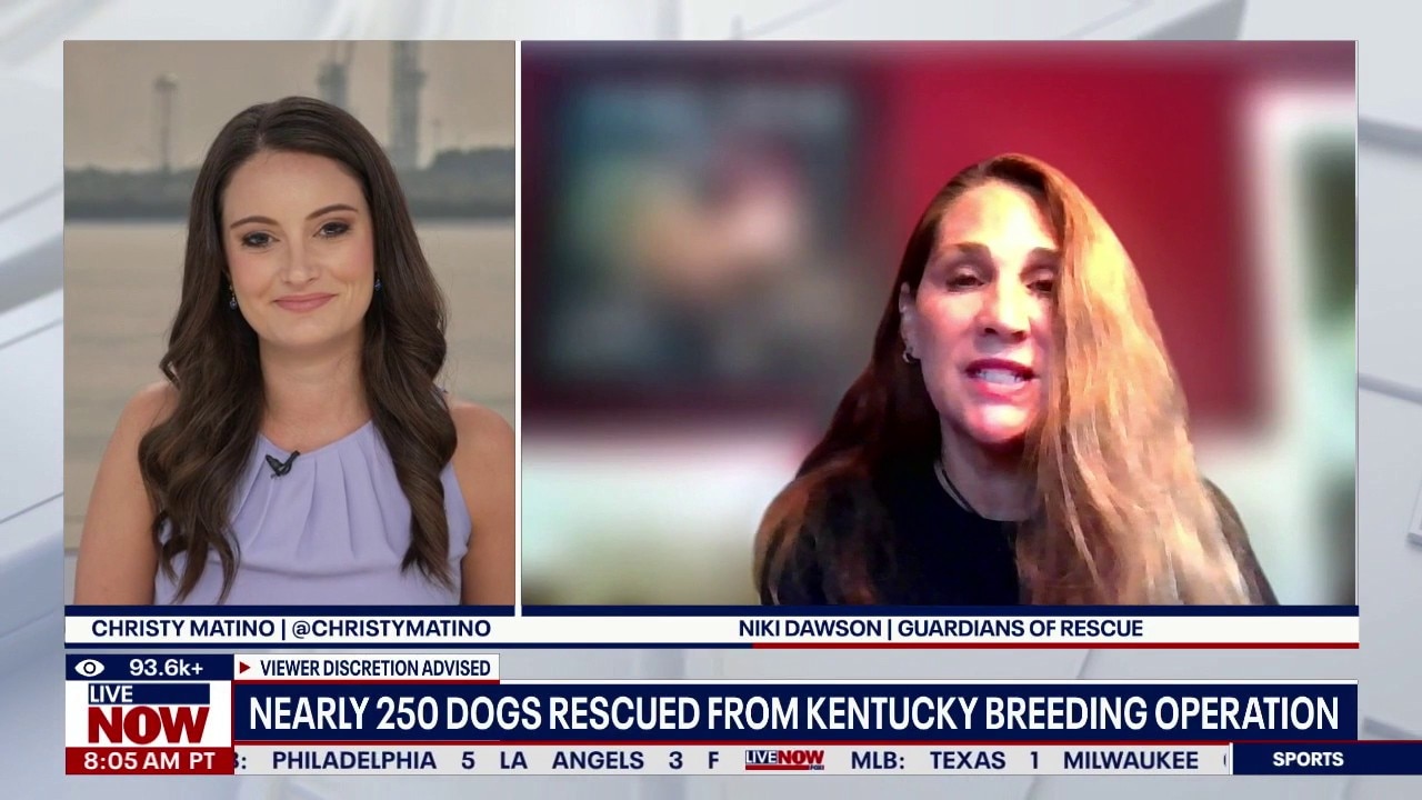 More than 200 dogs rescued from Kentucky property