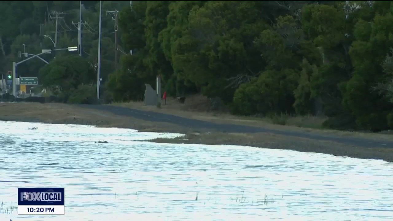 King tides bring high water levels to Larkspur, sparking sea level rise concerns