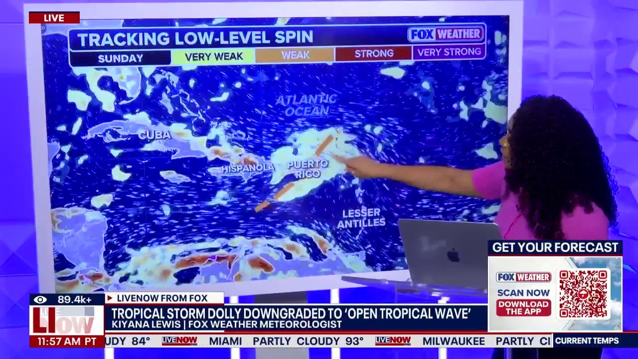 Dolly downgraded to 'open tropical wave'