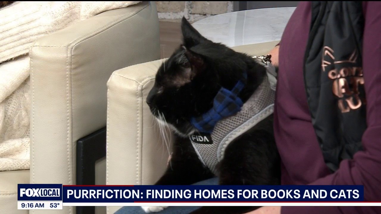 Purrfiction