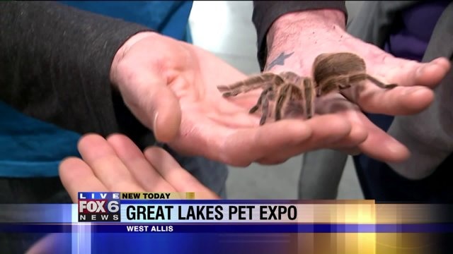 Meet the pets at the Great Lakes Pet Expo