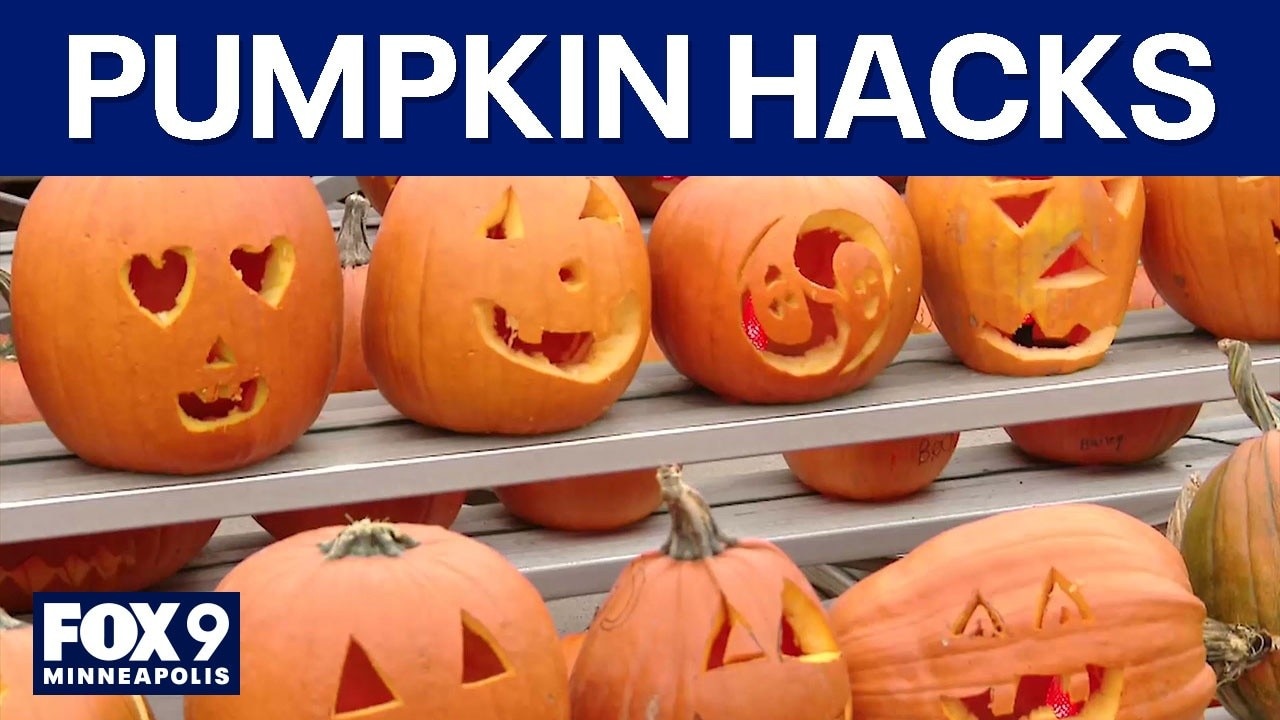 How to stop your Halloween pumpkin from rotting
