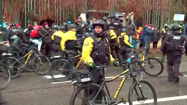 Protesters arrested at 'Not My President's Day' rally in Portland