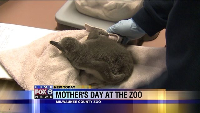 Looking for a fun way to spend Mother`s Day?